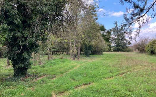 Maison avec beau terrain