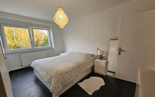 Appartement 3 pièces 95m2