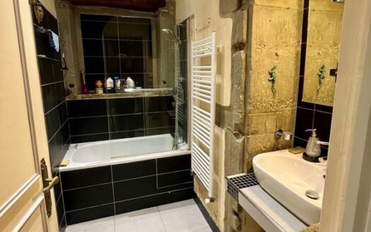 Bel Appartement Hyper Centre Quai Stephane Jay