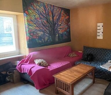 Vente maison rénovée