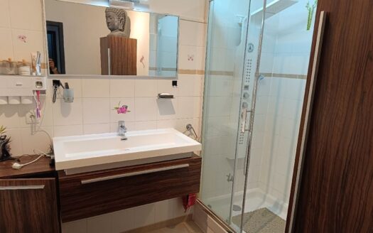 Appartement T3 Vinay