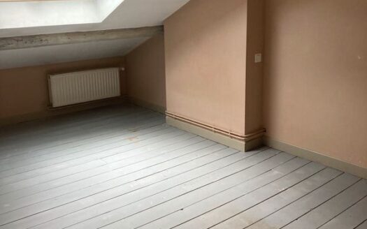 Vds appartement style loft
