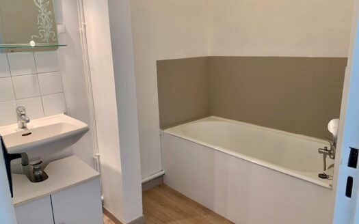 IDEAL JEUNE COUPLE/SANS VIE A VIE/LUMINEU