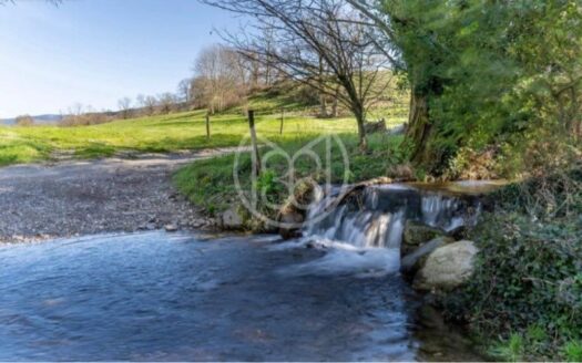 IDEAL REGROUPEMENT FAMILIAL