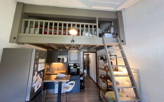 IDÉAL AMOUREUX DE LA MONTAGNE/ APPARTEMENT MEZZANINE/BALCON VUE MONTAGNES