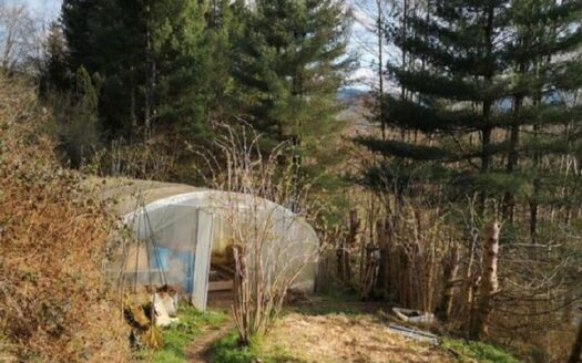Investissement immobilier locatif dans ecolieu