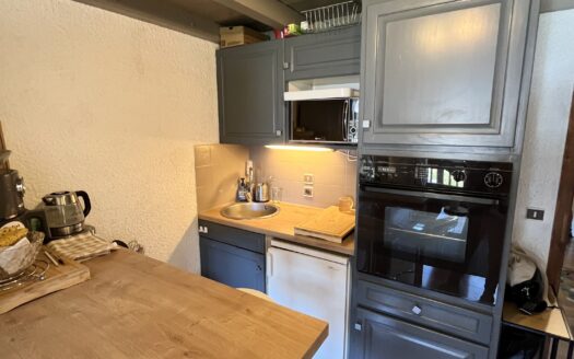 IDÉAL AMOUREUX DE LA MONTAGNE/ APPARTEMENT MEZZANINE/BALCON VUE MONTAGNES