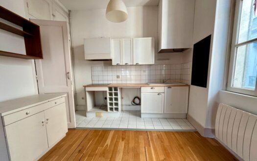 Appartement Grenoble centre