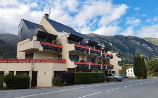 IDEAL SKIEURS / INVESTISSEURS–DUPLEX 2 PIÈCES À 150M DES TÉLÉCABINES, VUE PLA D’ADET