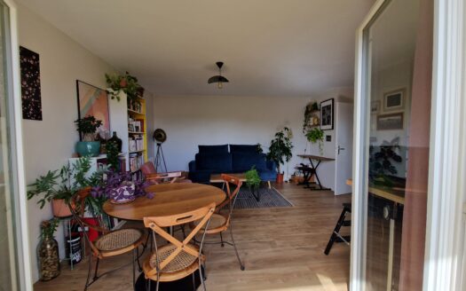 IDEAL INEVSTISSEUR OU PREMIER ACHAT