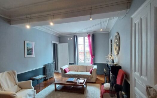 Idéal Retraité ou Investisseur-Spacieux appartement– Centre-ville de Troyes