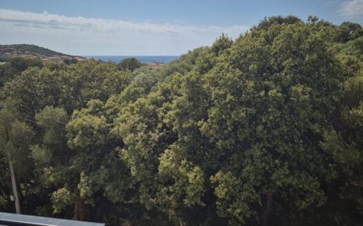 Superbe T3 Vue Mer avec Grande Terrasse