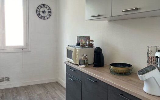 Appartement T2 lumineux à Saint-Sébastien-sur-Loire