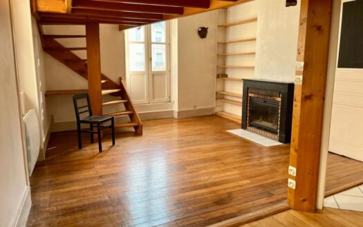 Appartement Grenoble centre