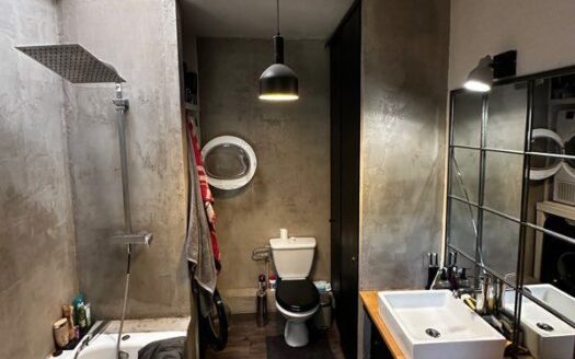 Appartement style industriel Florange 75m2