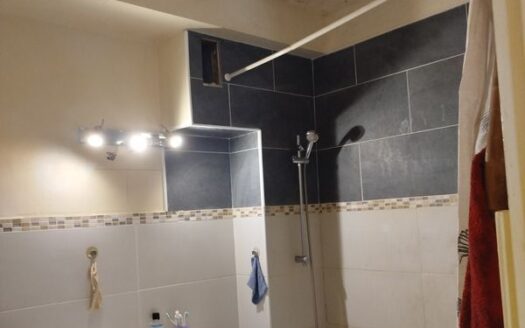 Appartement 70m2 lumineux proche gare de thiers
