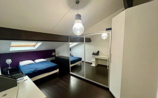T2 à vendre secteur Nancy Place des Vosges – 48m2