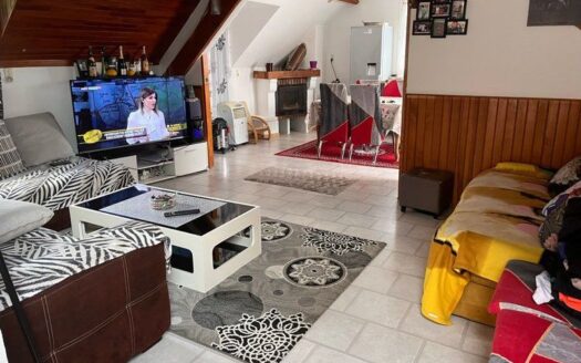 IDÉAL INVESTISSEURS OU FAMILLES – MAISON 177 M² DIVISÉE EN 2 APPARTEMENTS, RENTABILITÉ LOCATIVE