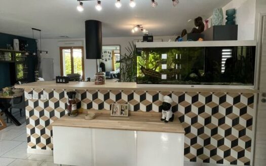 Maison F6 (124m²) à Aubeterre