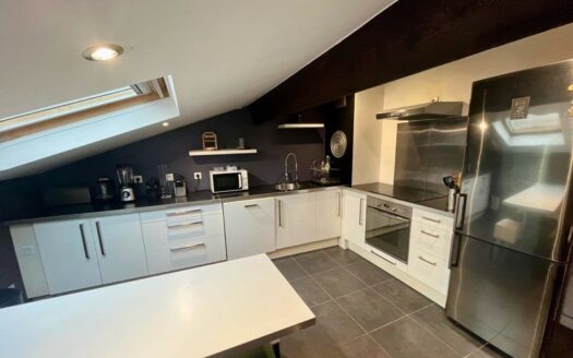 T2 à vendre secteur Nancy Place des Vosges – 48m2
