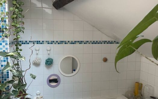 Appartement T2 Duplex Hyper Centre