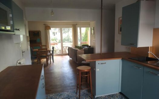 IDÉAL FAMILLE OU COUPLE – T3 TRAVERSANT RÉNOVÉ, POSSIBILITÉ T4, BALCON, PARKING
