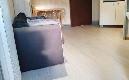 IDEAL SKIEURS / INVESTISSEURS–DUPLEX 2 PIÈCES À 150M DES TÉLÉCABINES, VUE PLA D’ADET