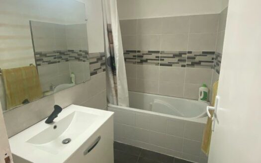 Appartement T3 REFAIT À NEUF – VENDU LOUÉ
