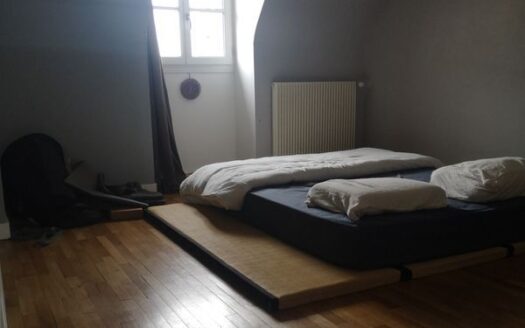 Appartement hyper centre blois