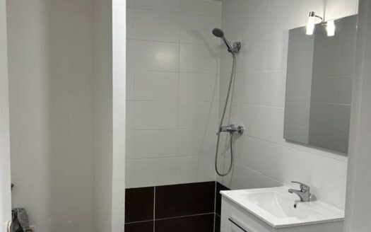 IDÉAL FAMILLE / INVESTISSEUR – MAISON AVEC 2 APPARTEMENTS RÉNOVÉS, LUMINEUX, PROCHE COMMODITÉS