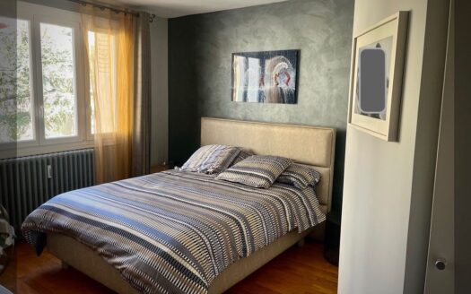 1/3  Vente appartement Lyon 3 Dauphiné-Lacassagne