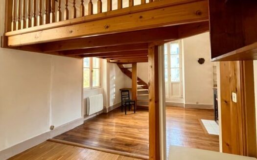 Appartement Grenoble centre