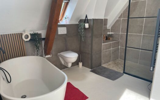 Magnifique Duplex de 159 m2