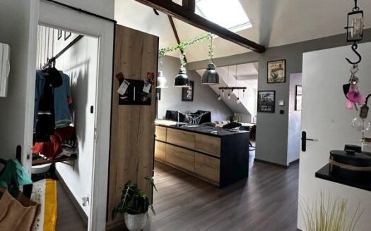 Appartement style industriel Florange 75m2