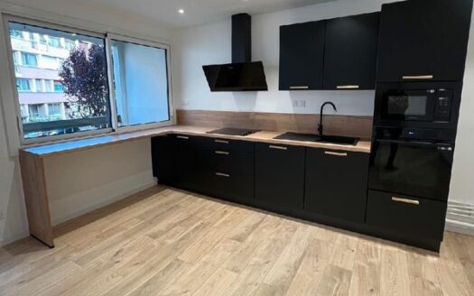 Appartement T3 entièrement rénové à neuf