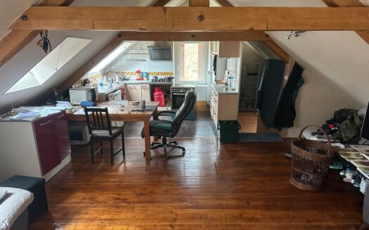 IDÉAL BRICOLEUR OU ARTISAN : MAISON À RÉNOVER AVEC GRAND GARAGE  JARDIN ET POTENTIEL LOCATIF