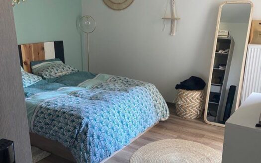 Vente appartement GREZIEU LA VARENNE