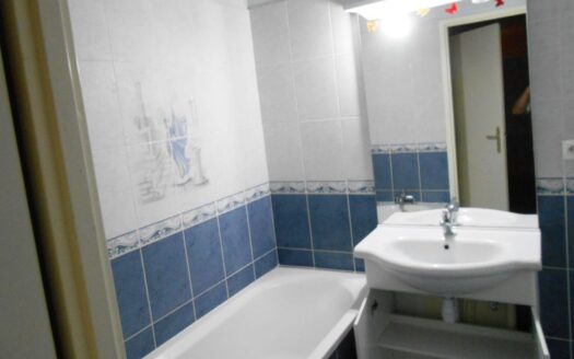 Bel appartement Type T3 libre