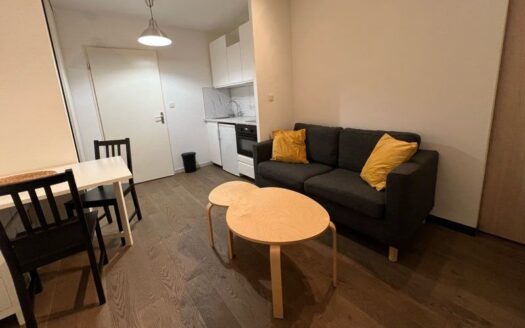 Très beau 2 pièces – Toulouse centre