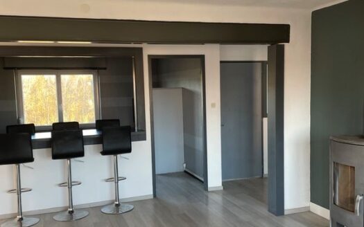 Appartement spacieux à Michelbach