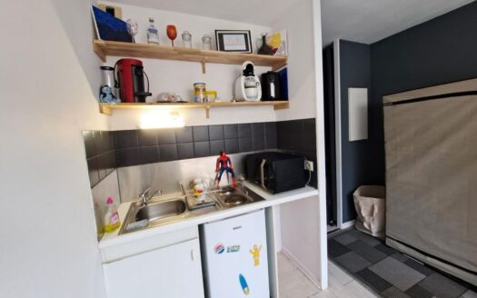Appartement de Charme à Nantes – Graslin