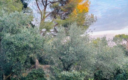 Villa Terres de Rouvière/ Russan à Nîmes