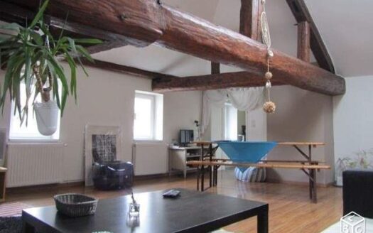 Appartement atypique centre ville