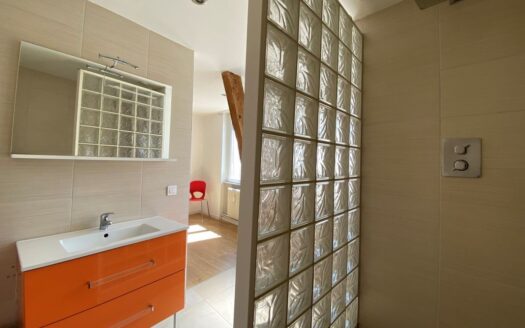 Appartement F2 54m² Hyper centre