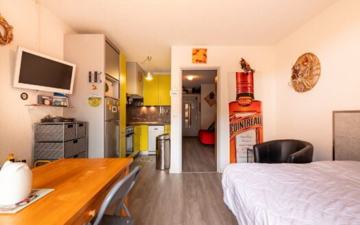 IDÉAL PREMIER ACHAT OU INVESTISSEMENT – APPARTEMENT BALCON, RÉNOVÉ,  DISPONIBILITÉ IMMÉDIATE