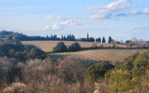 Domaine 6 hectares 10km de Carcassonne