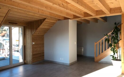 Grande bâtisse (2 appartements/2 locaux commerciaux)