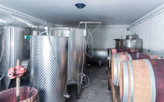 Domaine viticole avec belle maison et piscine
