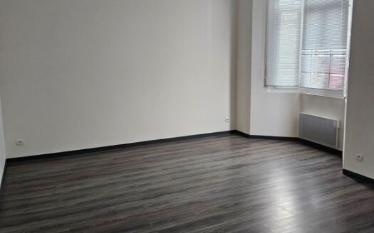 Appartement Roubaix 59100