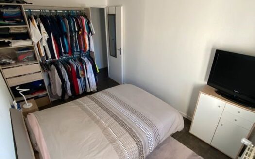 Maison / immobilier